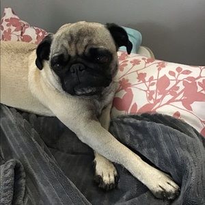 Meet your Posher, Nadia